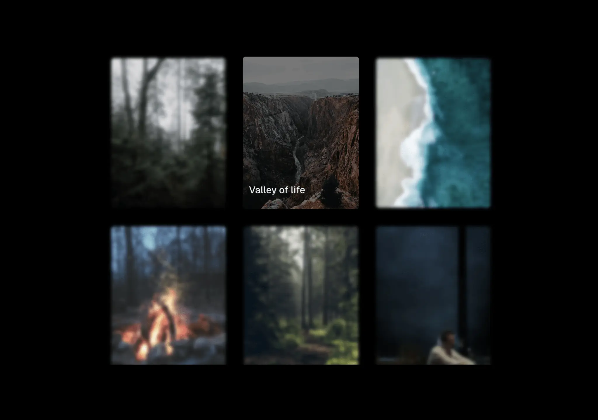 Focus Cards