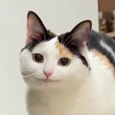 cinemonroll7 的头像