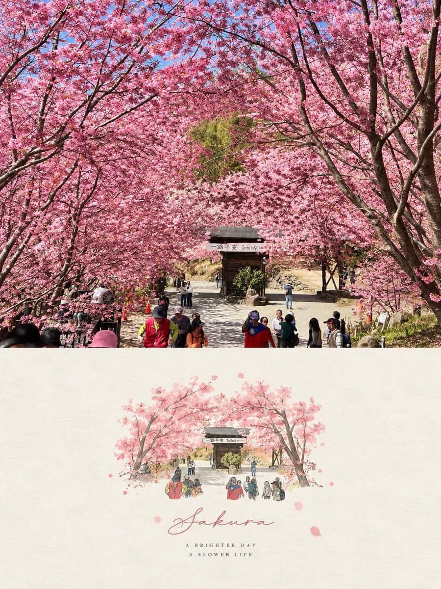 照片转插画海报 GPT Image 2